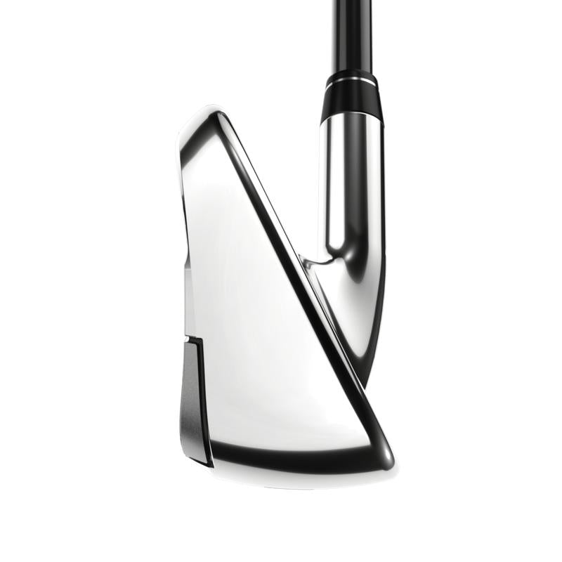 Paradym Ai Smoke MAX Fast Irons